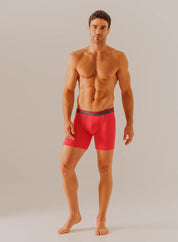Boxer  BRONZINI