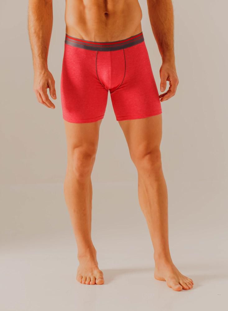 Boxer  BRONZINI