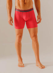 Boxer  BRONZINI