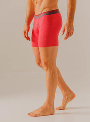 Boxer  BRONZINI