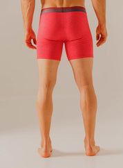 Boxer  BRONZINI