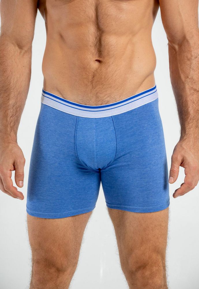 Boxer  BRONZINI