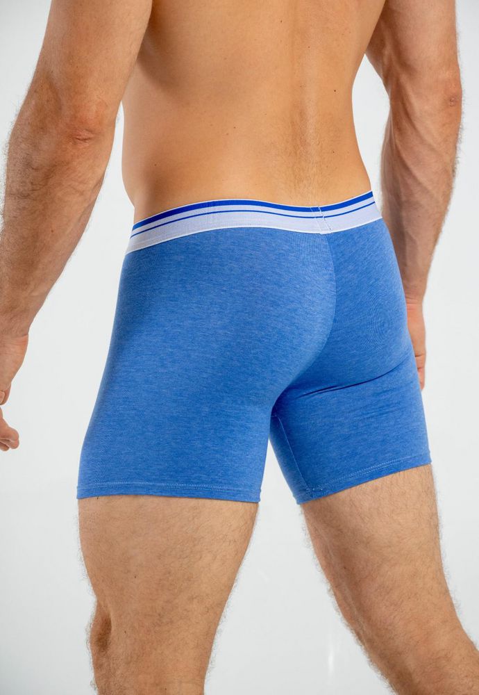 Boxer  BRONZINI
