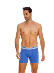 Boxer  BRONZINI