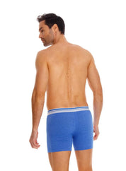 Boxer  BRONZINI