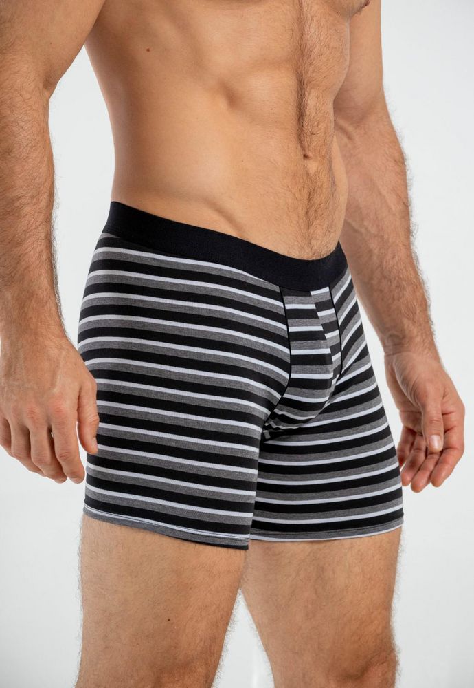 Boxer  BRONZINI