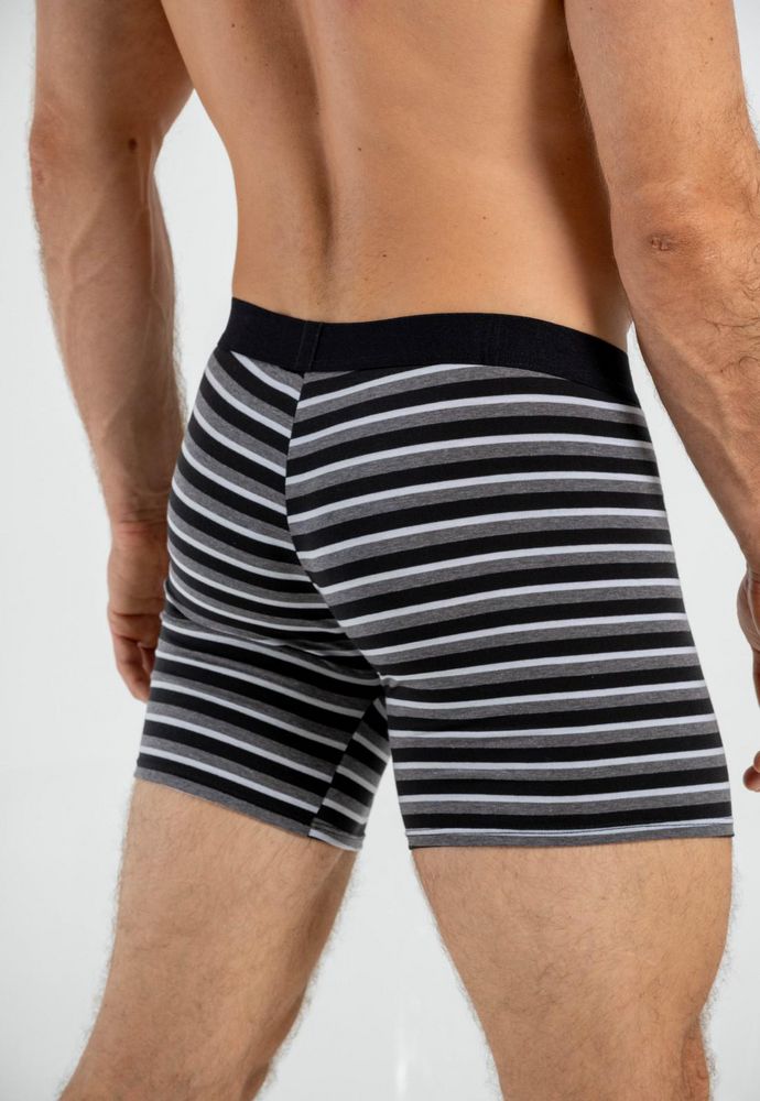 Boxer  BRONZINI