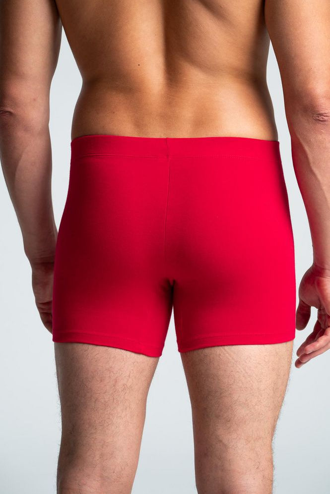 BOXER-AJUSTADO-1022294_d.jpg