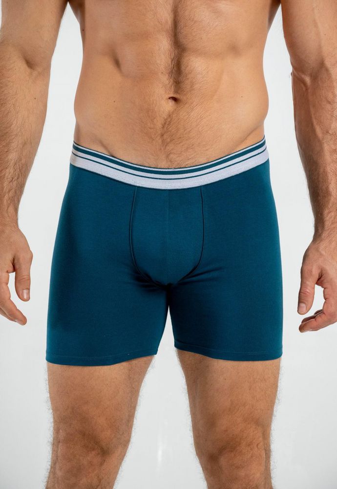 Boxer  BRONZINI