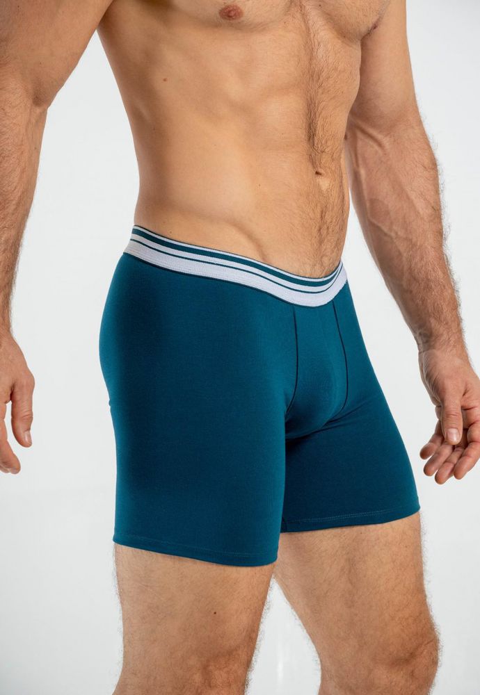 Boxer  BRONZINI