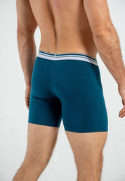 Boxer  BRONZINI