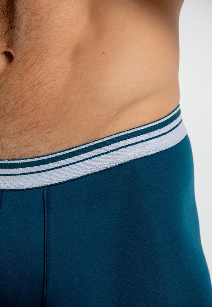 Boxer  BRONZINI