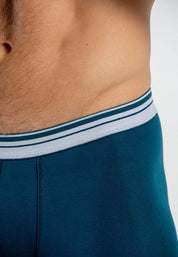 Boxer  BRONZINI