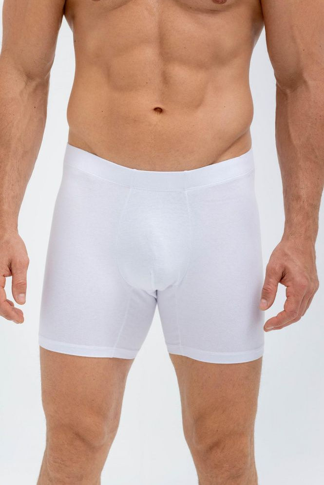 BOXER-AJUSTADO-947562_a.jpg