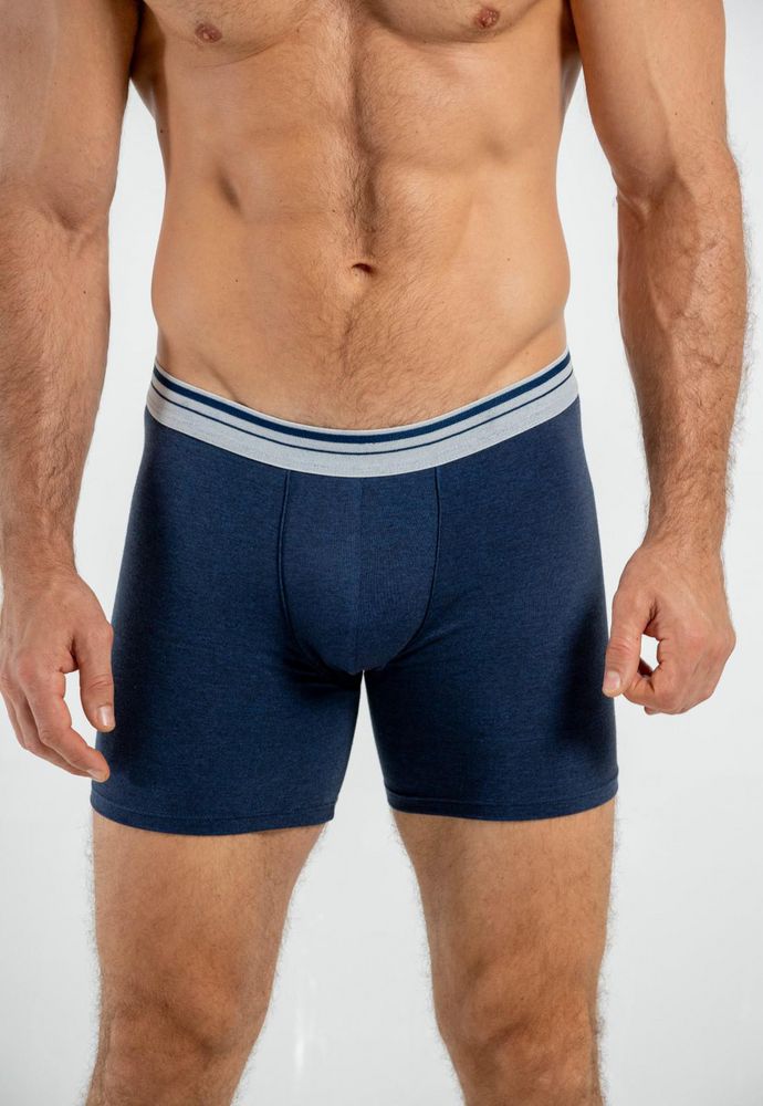 Boxer  BRONZINI