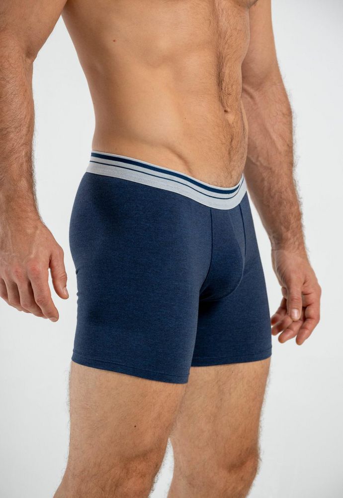 Boxer  BRONZINI