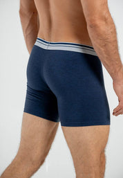 Boxer  BRONZINI