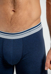 Boxer  BRONZINI