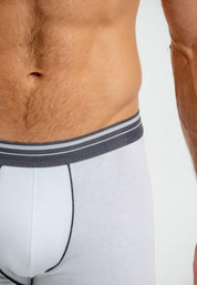 Boxer  BRONZINI