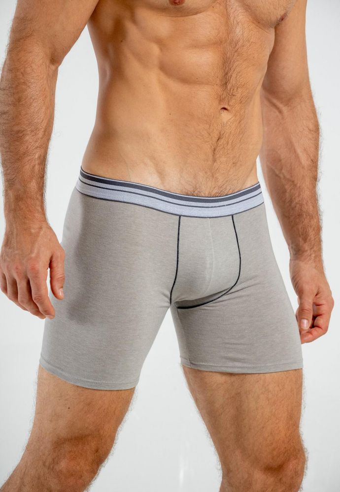 Boxer  BRONZINI