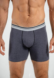 Boxer  BRONZINI