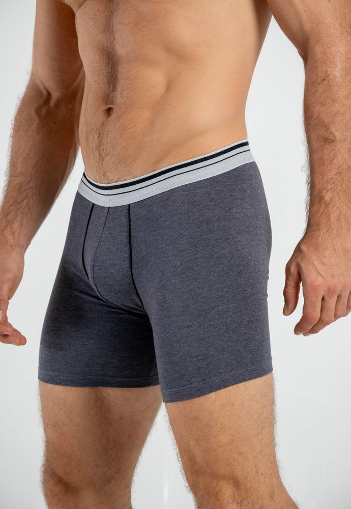Boxer  BRONZINI