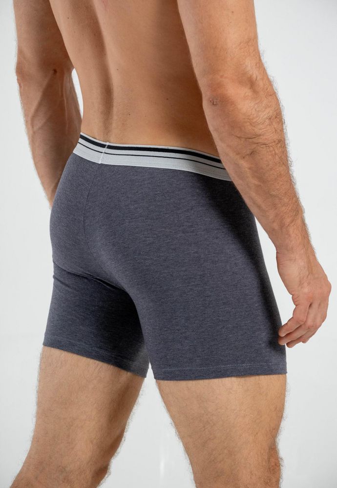 Boxer  BRONZINI