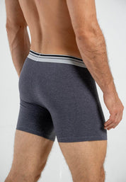 Boxer  BRONZINI