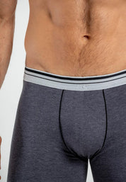 Boxer  BRONZINI