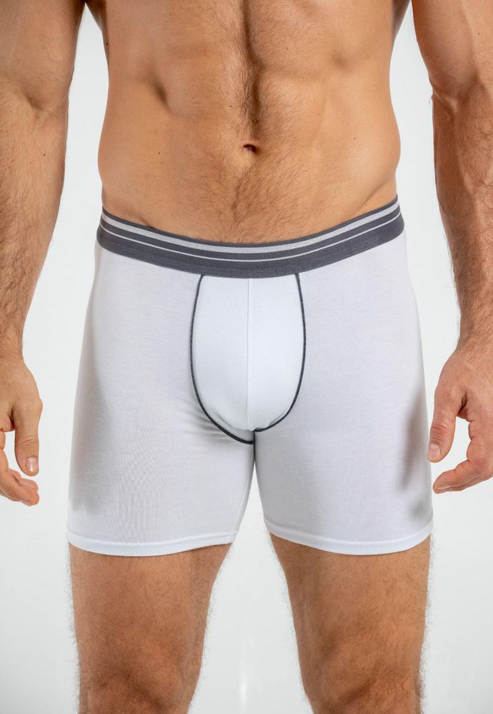 Boxer  BRONZINI
