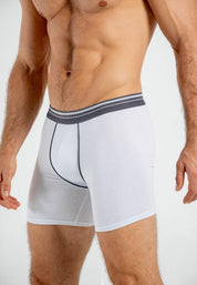Boxer  BRONZINI