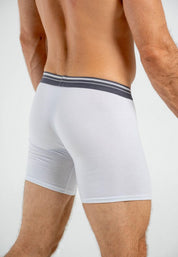 Boxer  BRONZINI