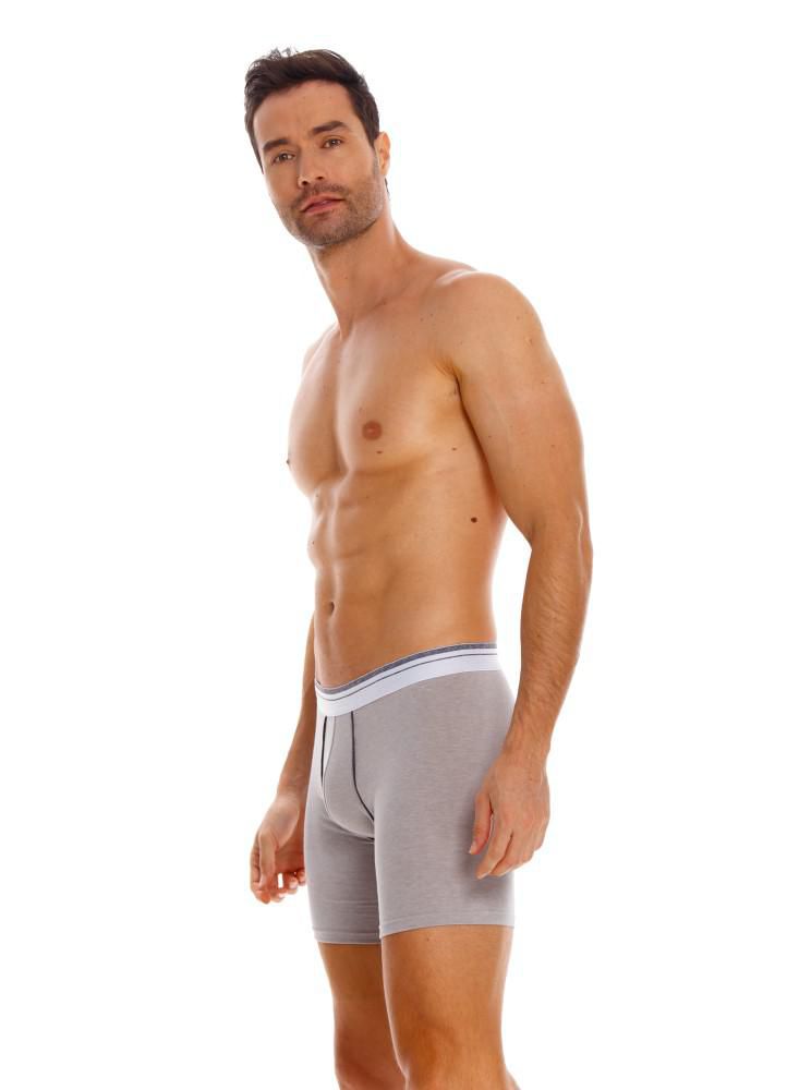 Boxer  BRONZINI