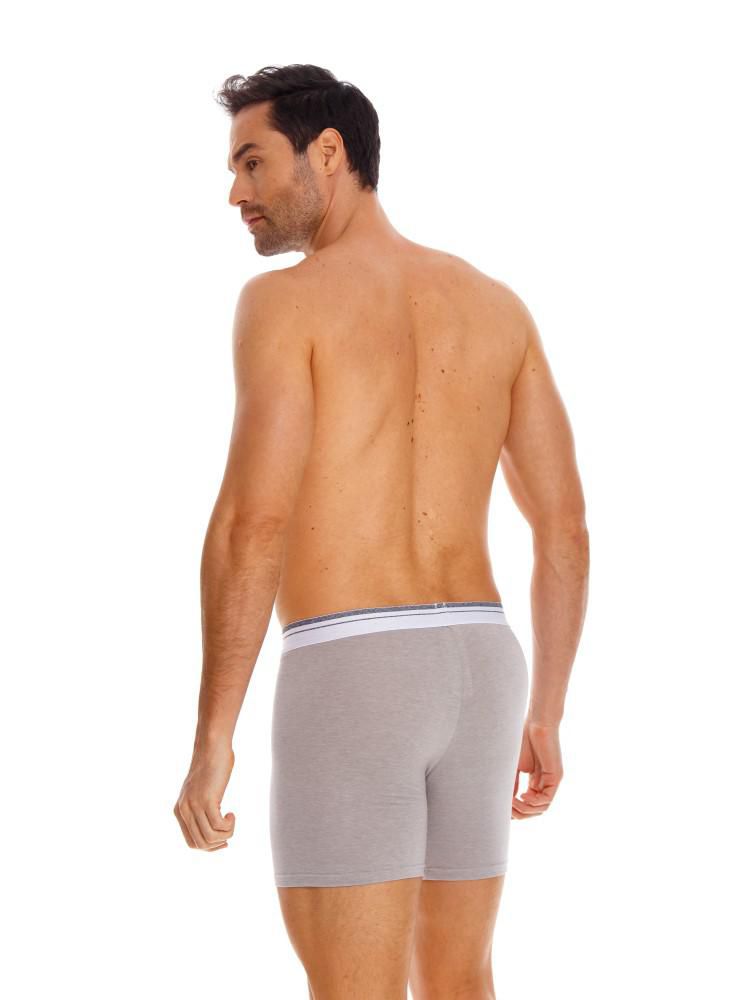 Boxer  BRONZINI
