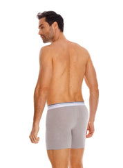 Boxer  BRONZINI