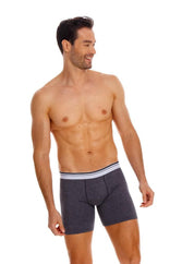 Boxer  BRONZINI
