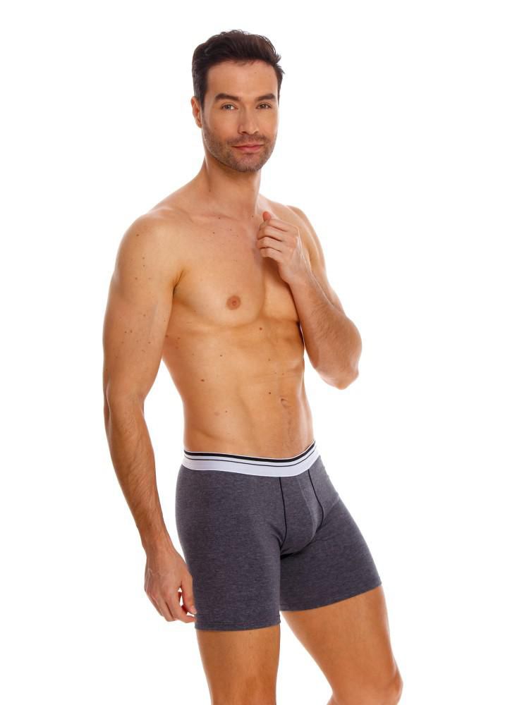Boxer  BRONZINI