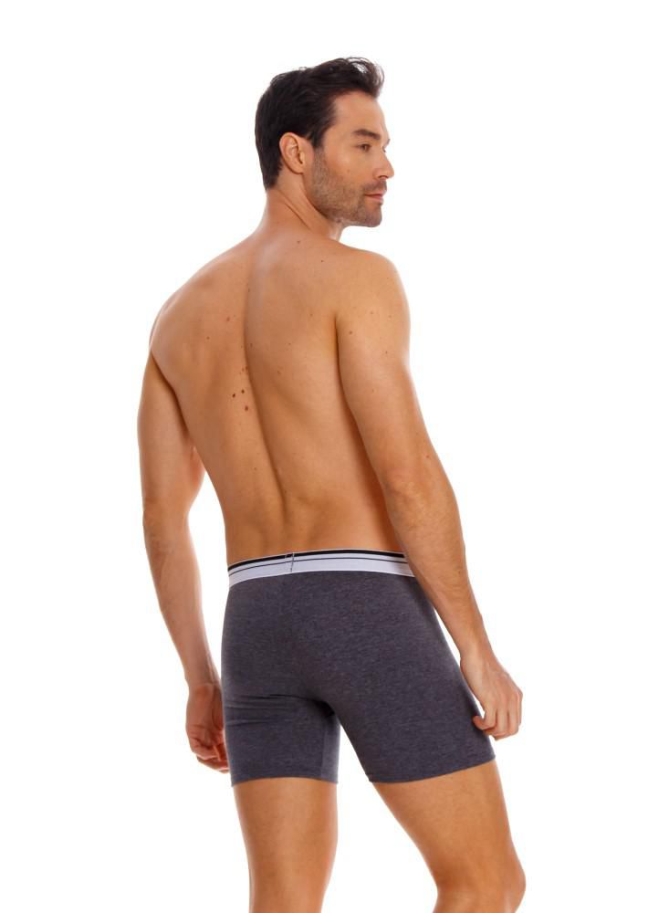 Boxer  BRONZINI