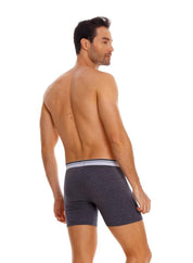 Boxer  BRONZINI