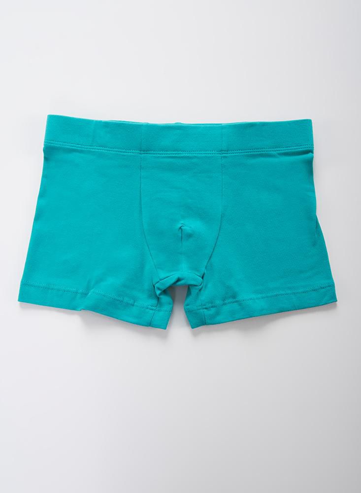 Boxer  BRONZINI