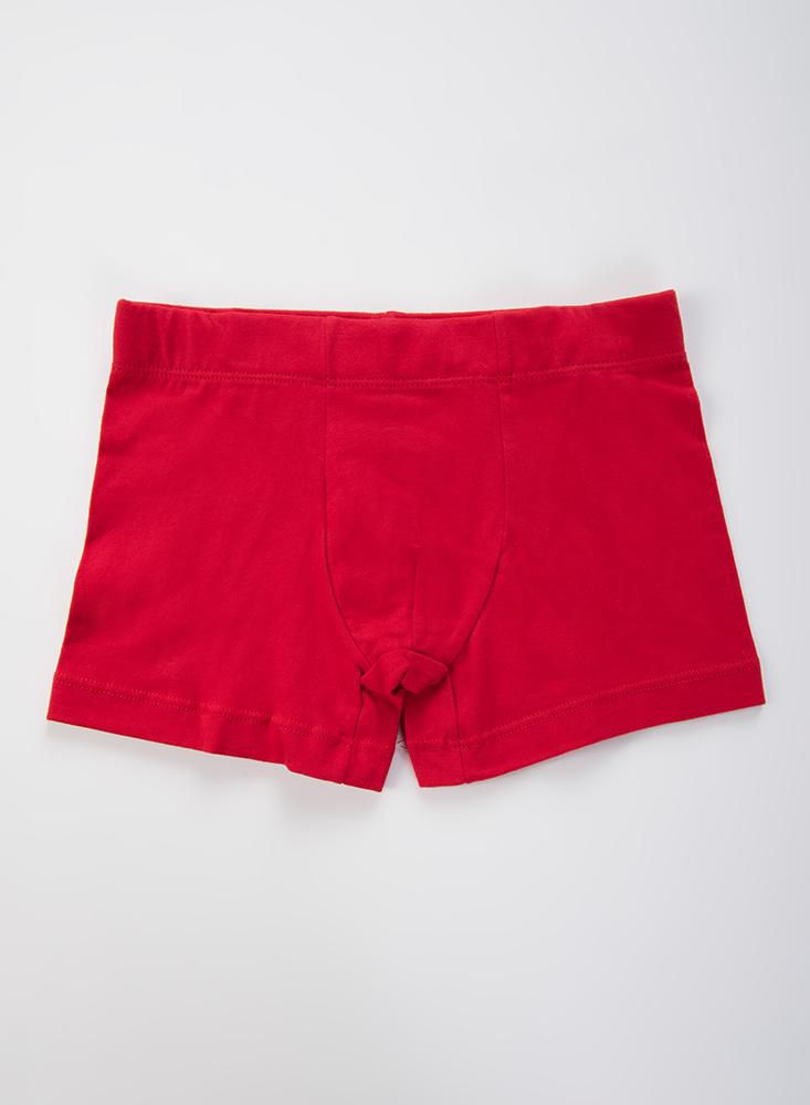 Boxer  BRONZINI