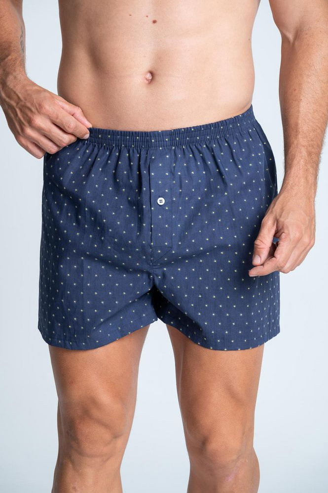 Boxer-BRONZINI-3824340_a.jpg