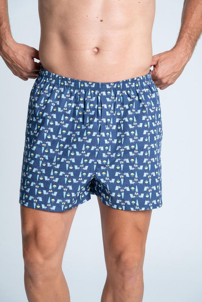 Boxer-BRONZINI-3824349_a.jpg