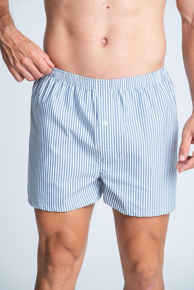 Boxer-BRONZINI-3824358_a.jpg