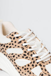 Tenis Dptvo Malla 7701002159668  PEOPLE